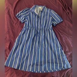 J. Crew Blue and White Striped Shirt